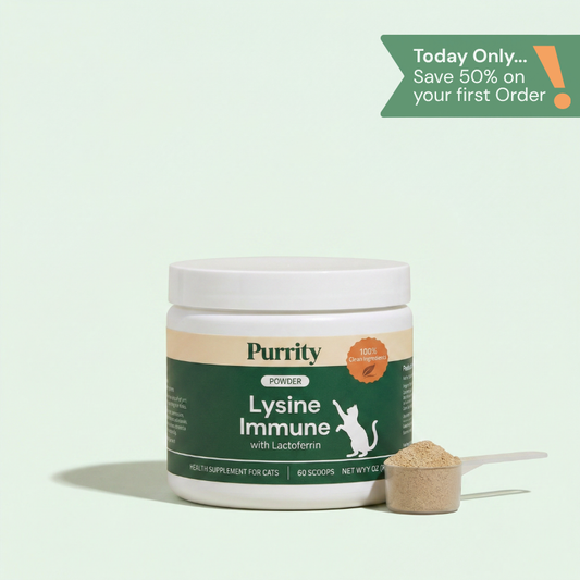 Lysine Immune Support